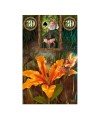 Fairy Lenormand Oracle