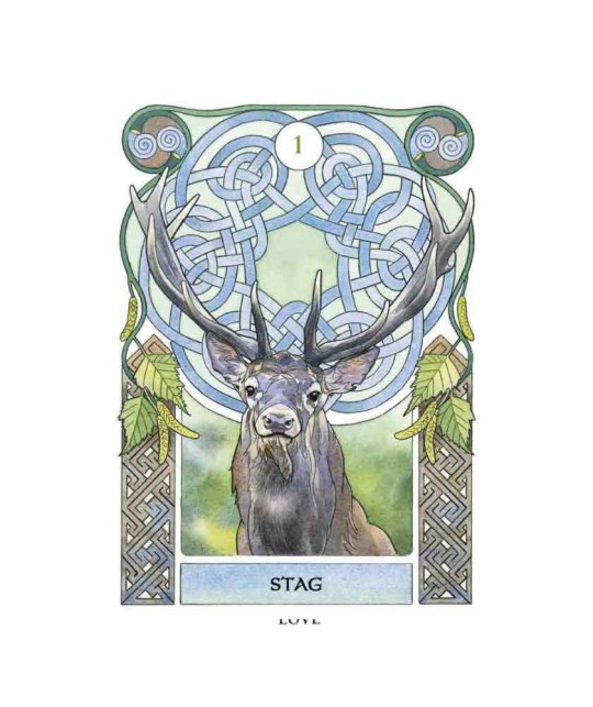 Celtic Astrology Oracle