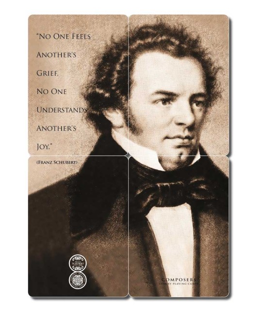 Franz Schubert Composers Carti de Joc