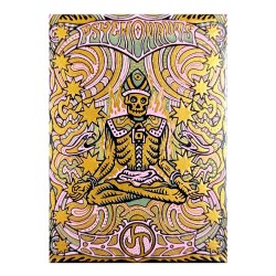 Psychonauts by Joker and the Thief Carti de Joc