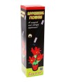 Flower in Pot - Small