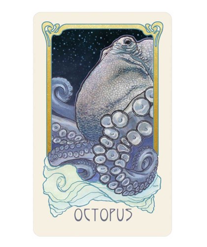 Dreamscape Oracle