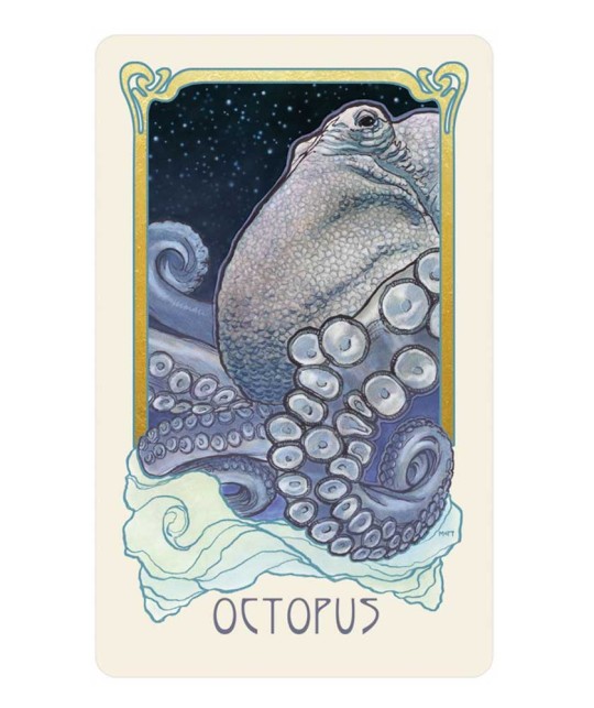 Dreamscape Oracle