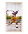 Lenormand De Paris