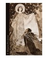 DIVINE LIGHT ORACLE CARDS