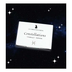 Constellations by Thibault Ternon