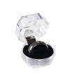 Magnetic Ring - Silver (21 mm)
