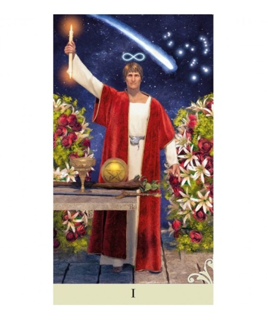 VICE VERSA TAROT CARDS