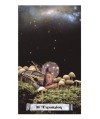 THE COSMIC CROSSROADS ORACLE