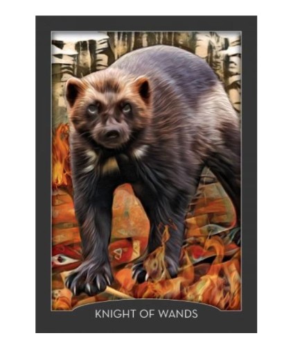 GUARDIAN OF THE NIGHT TAROT CARDS
