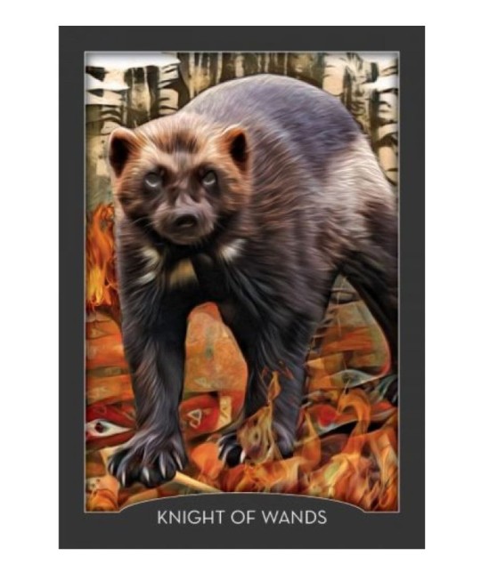 GUARDIAN OF THE NIGHT TAROT CARDS
