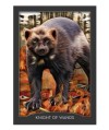 GUARDIAN OF THE NIGHT TAROT CARDS