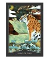 GUARDIAN OF THE NIGHT TAROT CARDS