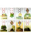 BLUE OWL PREMIUM EDITON CARDS MILLE LENORMAND