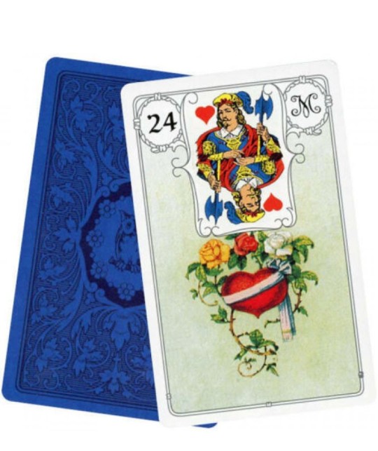 BLUE OWL PREMIUM EDITON CARDS MILLE LENORMAND