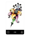 MALEFIQUE LENORMAND TAROT CARDS