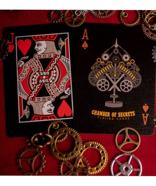 Chamber of Secrets Playing Cards by Matthew Wright