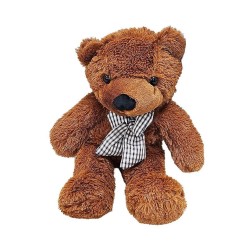 Appearing Teddy Bear - Small size