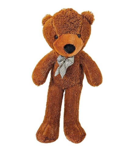 Appearing Teddy Bear - Medium size
