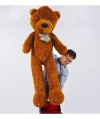 Appearing Teddy Bear - Big size