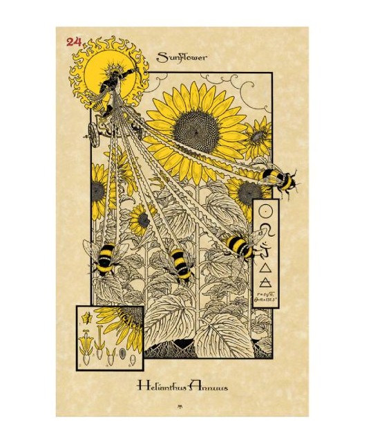 THE MAGICKAL BOTANICAL ORACLE CARDS
