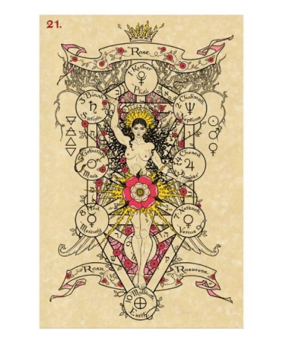 THE MAGICKAL BOTANICAL ORACLE CARDS