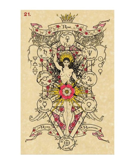 THE MAGICKAL BOTANICAL ORACLE CARDS