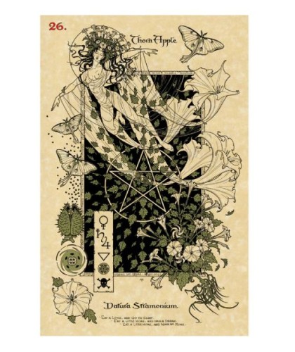 THE MAGICKAL BOTANICAL ORACLE CARDS