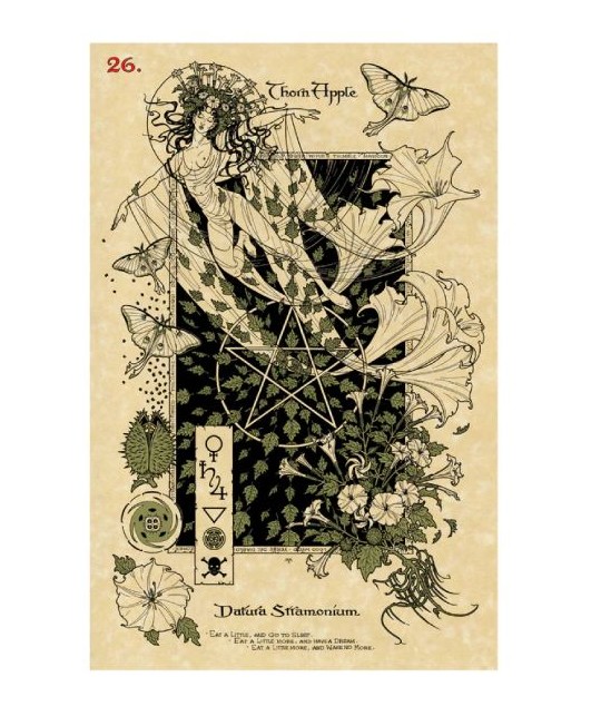 THE MAGICKAL BOTANICAL ORACLE CARDS