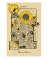 THE MAGICKAL BOTANICAL ORACLE CARDS