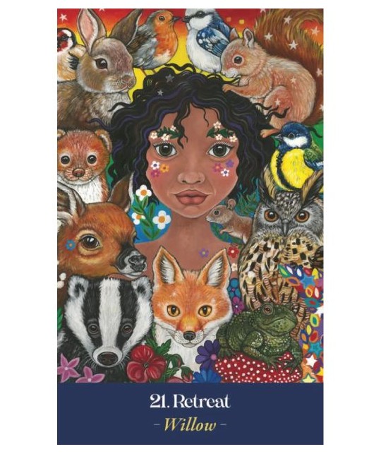 EARTH MOTHERS ORACLE CARDS EARTH MOTHERS ORACLE CARDS