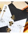 CHESS Black Playing Cards by Hidden Light