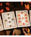 Kite Playing Cards by ARK