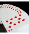 NASA Foil Meatball Logo Playing Cards