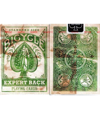 Bicycle Expert Back - Green