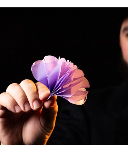 Spring Flowers Murphy’s Magic – buchet de flori colorate pentru trucuri vizuale