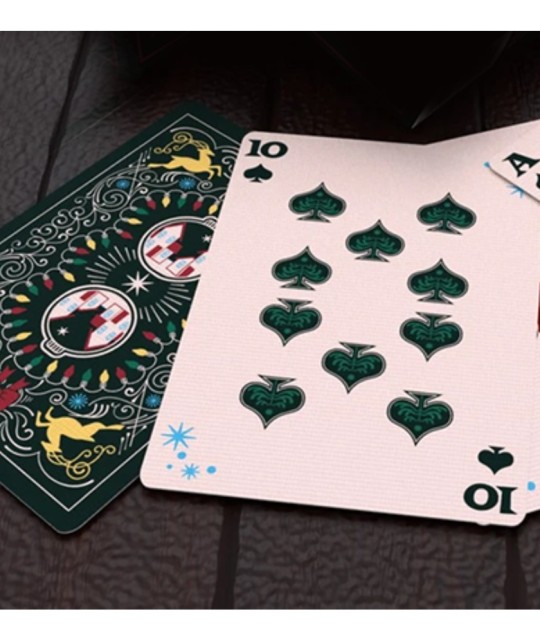 Ilustrații tematice de sărbători pe cartile Bicycle Home for the Holidays