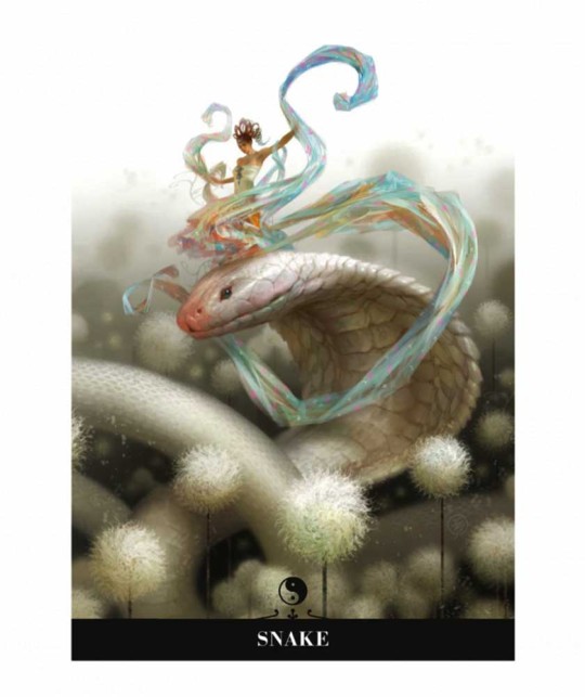 Carte oracol - Chinese Oracle Cards