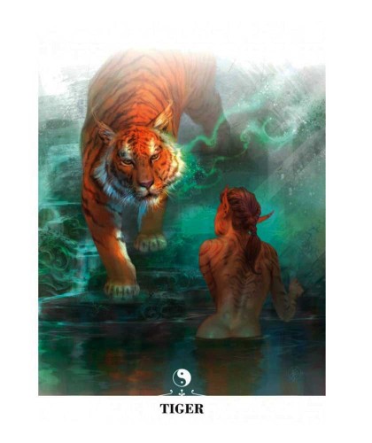 Carte oracol - Chinese Oracle Cards