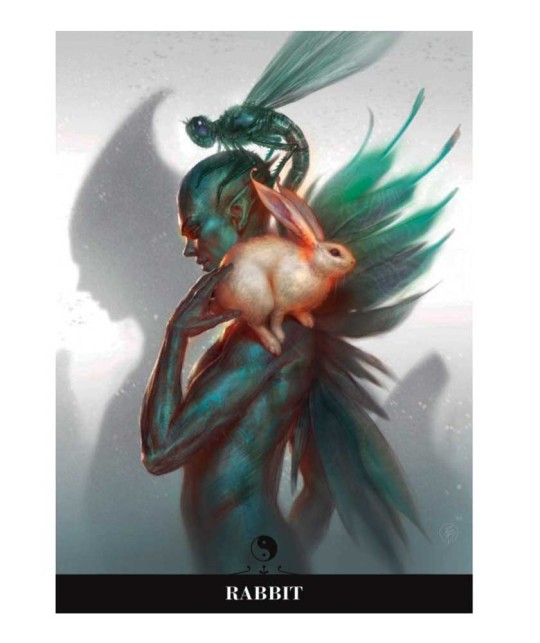 Carte oracol - Chinese Oracle Cards