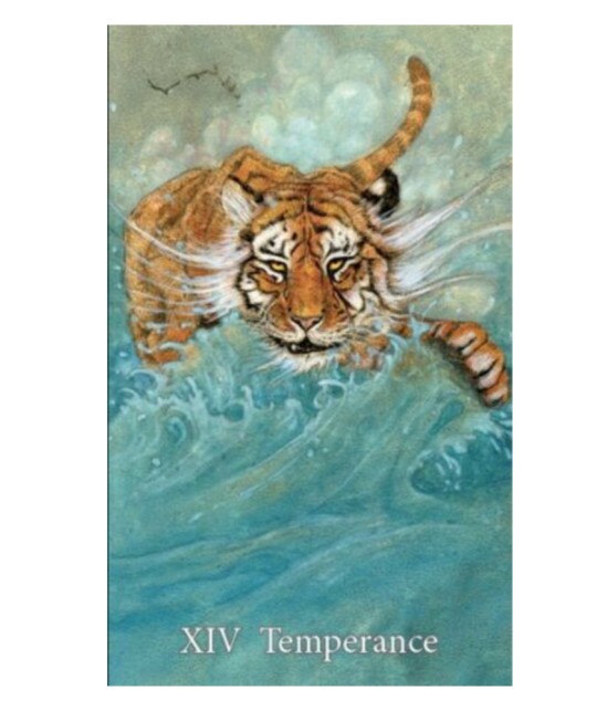 Mary-El Tarot cartea Temperanța pictură simbolică