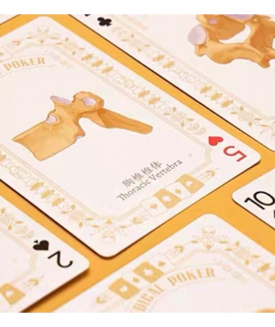 Cărți numerice din pachetul Medical Poker White Playing Cards cu ilustrații anatomice detaliate
