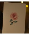 Floral playing card from Flower Deck Roses featuring rose illustration