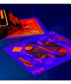 Bicycle Neon Solar-Orange Rider Back Playing Cards – cutie deschisă și carte de joc cu efect neon