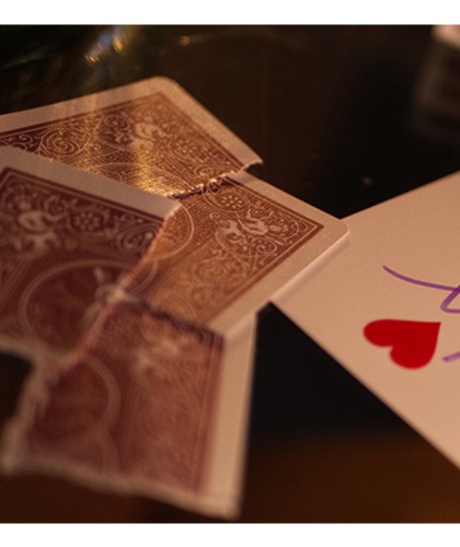 Bicycle Metallic Ruby Playing Cards – pachet complet Rider Back