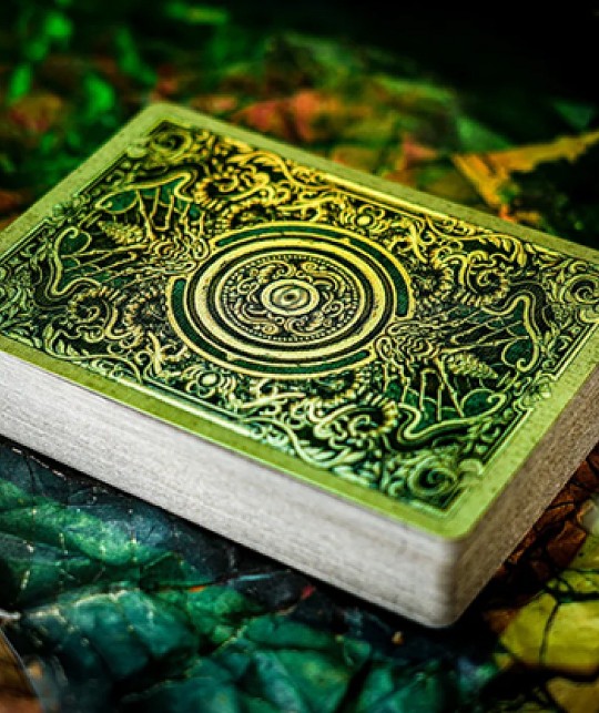 Keyhole Reflections on the Wall Playing Cards Backs