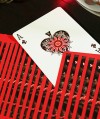 Bicycle Koi Playing Cards Spread