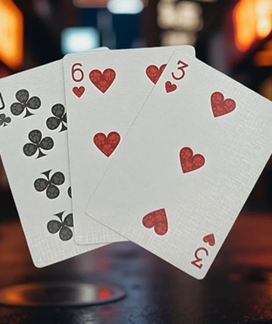 Biker Cats Playing Cards