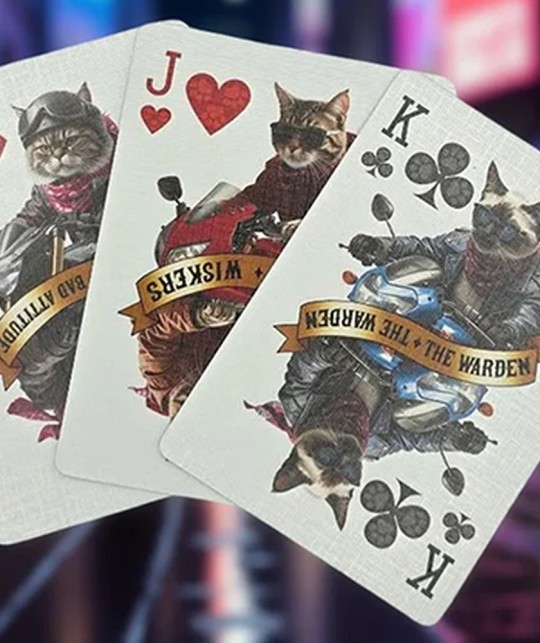 Biker Cats Playing Cards