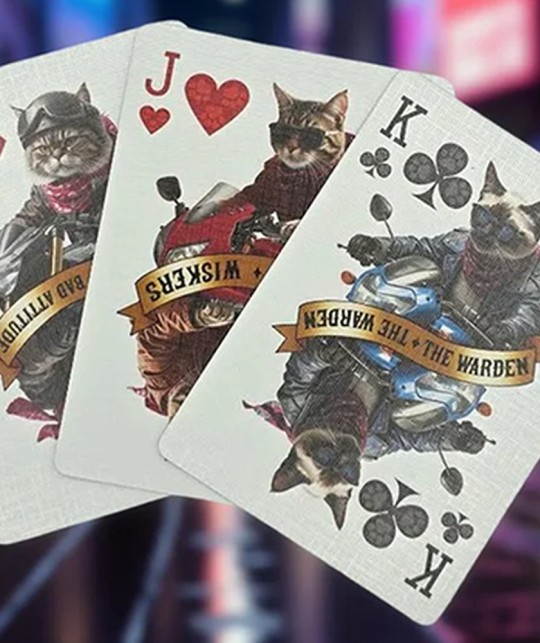 Biker Dogs Playing Cards Court Cards